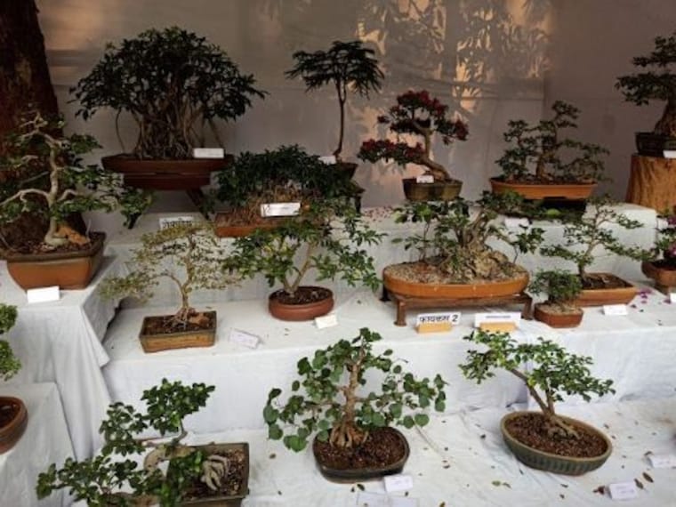 Empress Botanical Garden_4